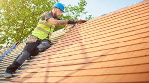 Best Skylight Installation and Repair  in Braddock Heights, MD